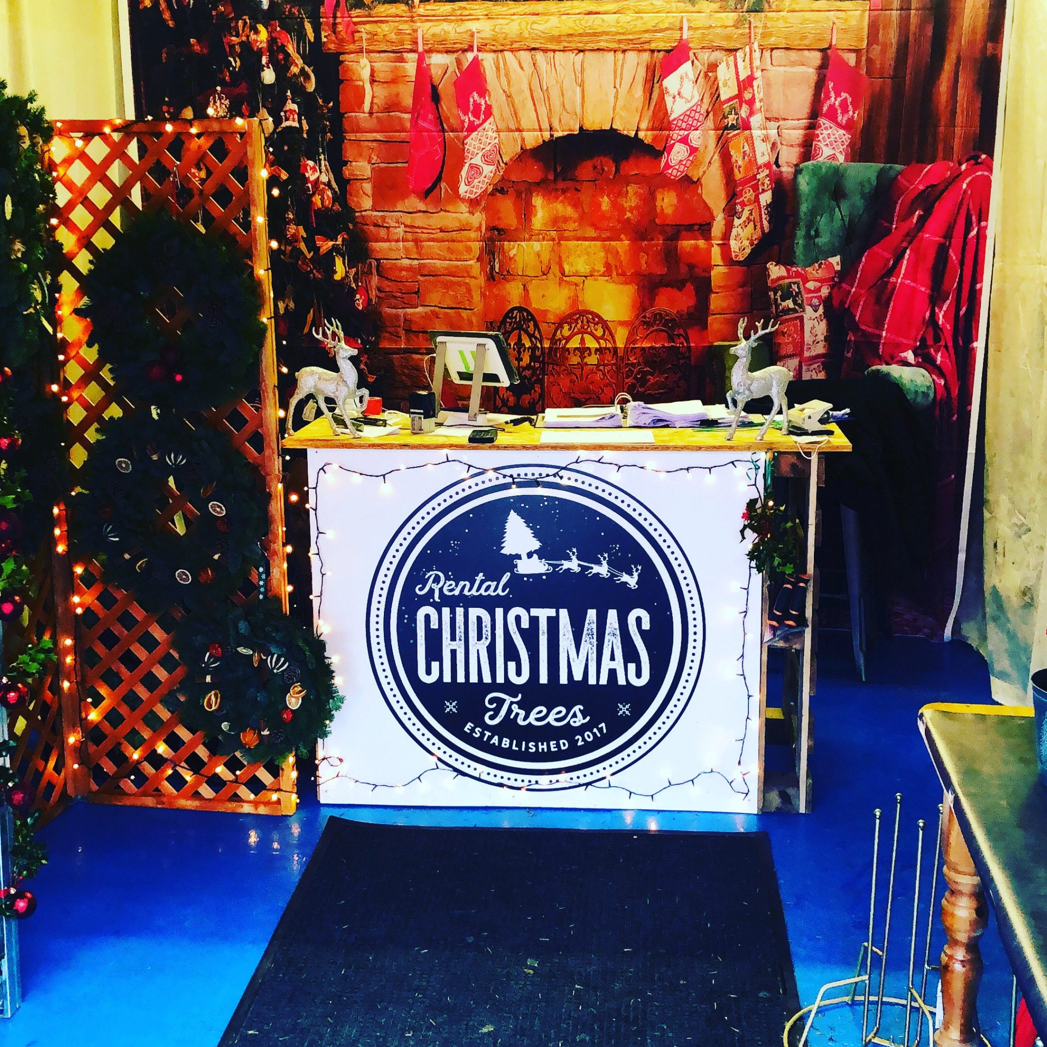 Rental Christmas Trees Winstones